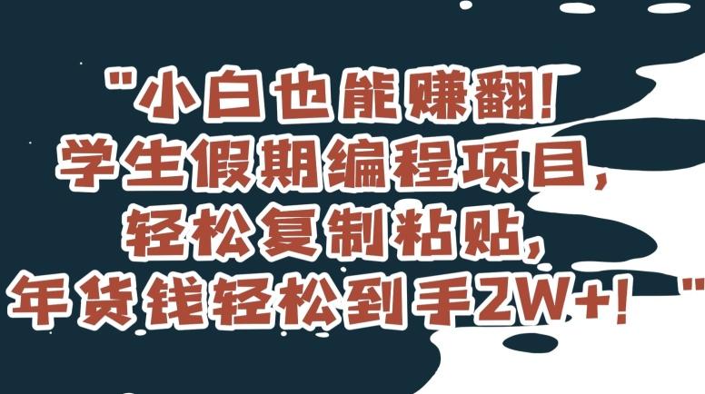 小白也能赚翻！学生假期编程项目，轻松复制粘贴，年货钱轻松到手2W+【揭秘】-点子口袋网