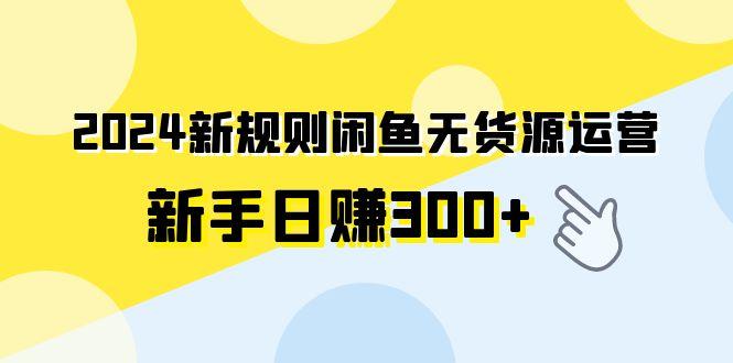 (9522期)2024新规则闲鱼无货源运营新手日赚300+-点子口袋网
