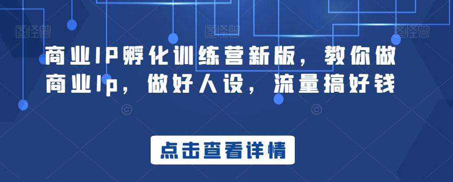 商业IP孵化训练营新版，教你做商业Ip，做好人设，流量搞好钱-点子口袋网