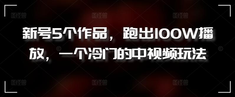 新号5个作品，跑出100W播放，一个冷门的中视频玩法【揭秘】-点子口袋网