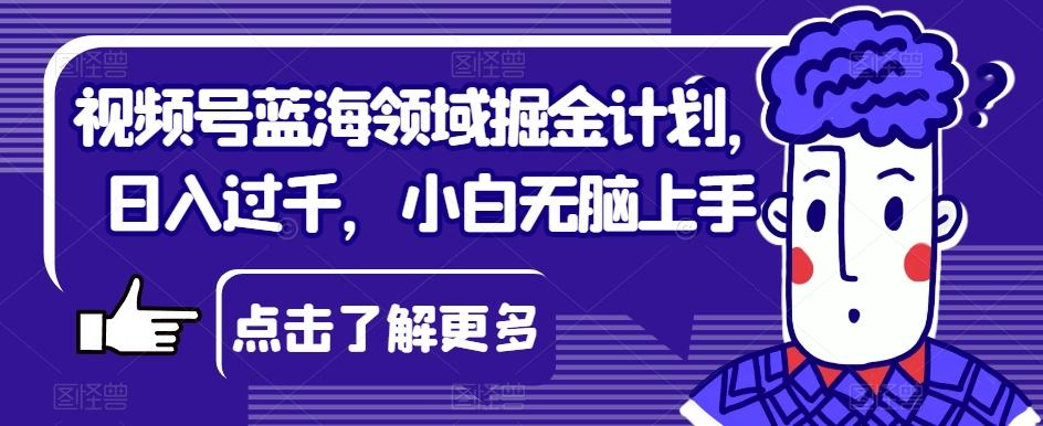 视频号蓝海领域掘金计划，日入过千，小白无脑上手【揭秘】-点子口袋网
