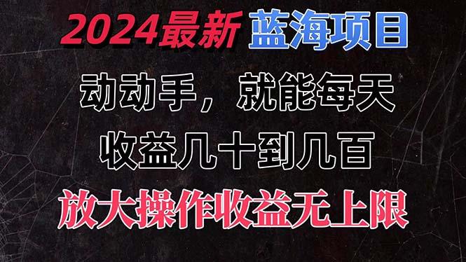 有手就行的2024全新蓝海项目，每天1小时收益几十到几百，可放大操作收...-点子口袋网