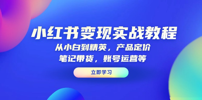 小红书变现实战教程：从小白到精英，产品定价，笔记带货，账号运营等-点子口袋网