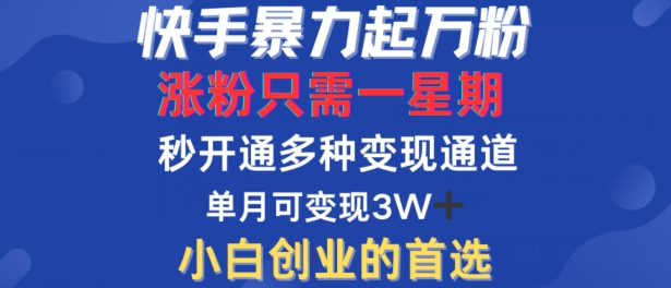 快手暴力起万粉，涨粉只需一星期，多种变现模式，直接秒开万合，单月变现过W【揭秘】-点子口袋网