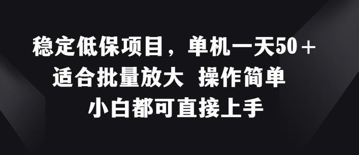 稳定低保项目，单机一天50+适合批量放大 操作简单 小白都可直接上手【揭秘】-点子口袋网