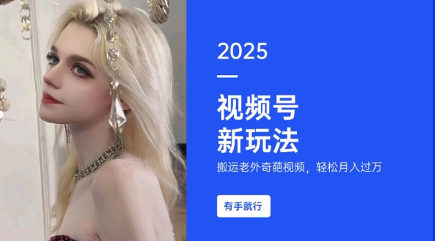 搬运老外奇葩视频，撸视频号分成计划收益，每天只需一小时，新手小白轻松月入过W-点子口袋网