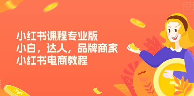 小红书课程专业版，小白，达人，品牌商家，小红书电商教程(15节-点子口袋网