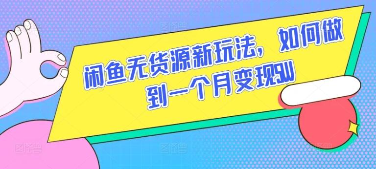 闲鱼无货源新玩法，如何做到一个月变现5W【揭秘】-点子口袋网
