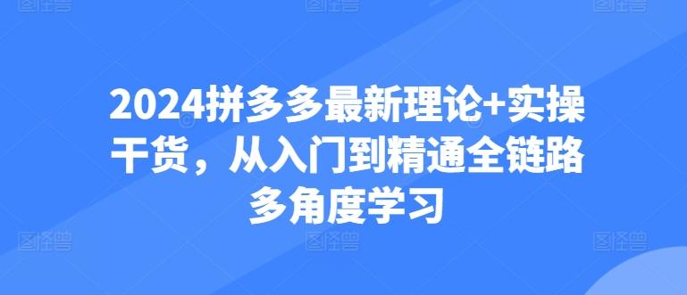 2024拼多多最新理论+实操干货，从入门到精通全链路多角度学习-点子口袋网