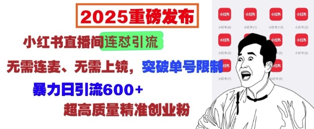 2025重磅发布：小红书直播间连怼引流，无需连麦、无需上镜，突破单号限制，暴力日引流600+-点子口袋网