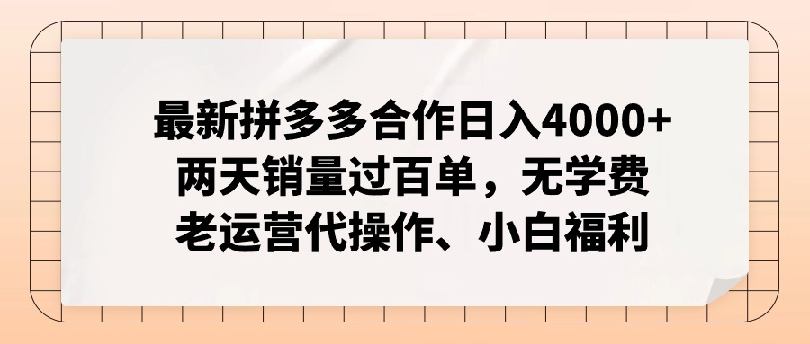 拼多多最新合作日入4000+两天销量过百单，无学费、老运营代操作、小白福利-点子口袋网