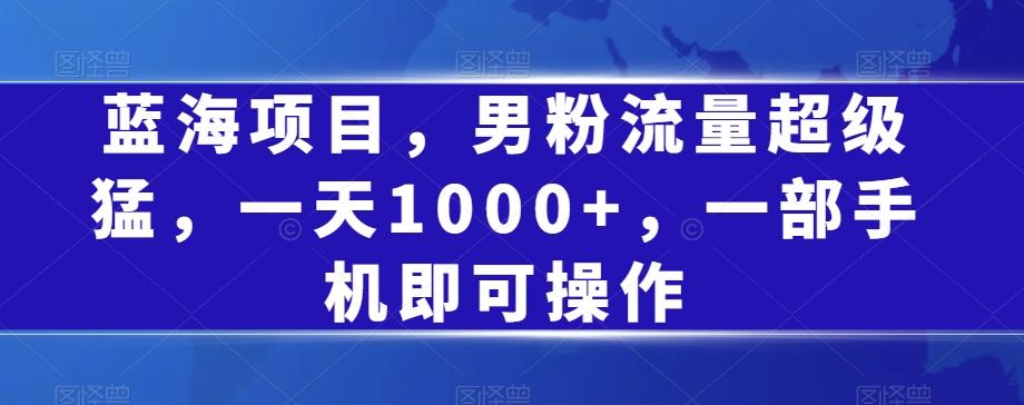 蓝海项目，男粉流量超级猛，一天1000+，一部手机即可操作【揭秘】-点子口袋网