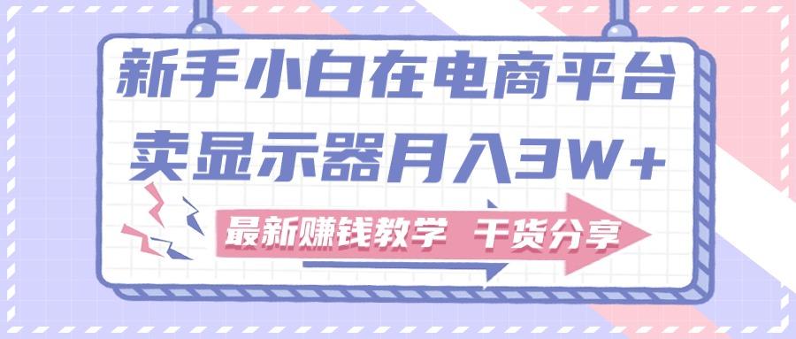 新手小白如何做到在电商平台卖显示器月入3W+，最新赚钱教学干货分享-点子口袋网