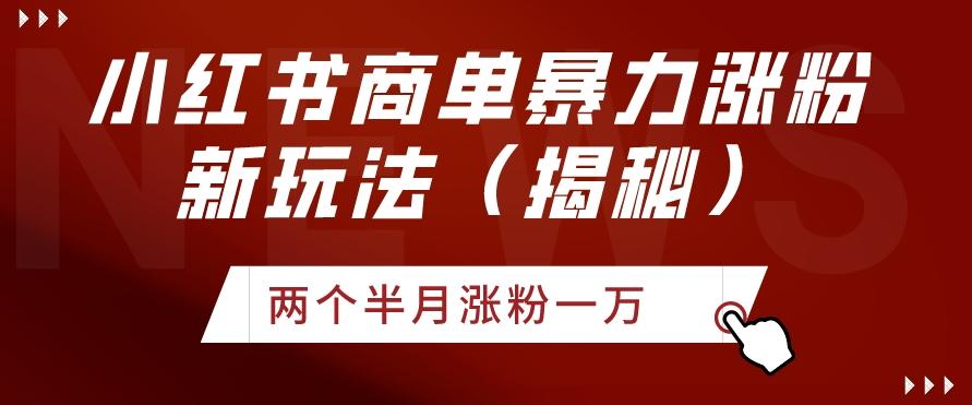 小红书商单暴力涨粉新玩法两个半月涨粉一万（揭秘）-点子口袋网