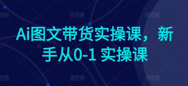 Ai图文带货实操课，新手从0-1 实操课-点子口袋网