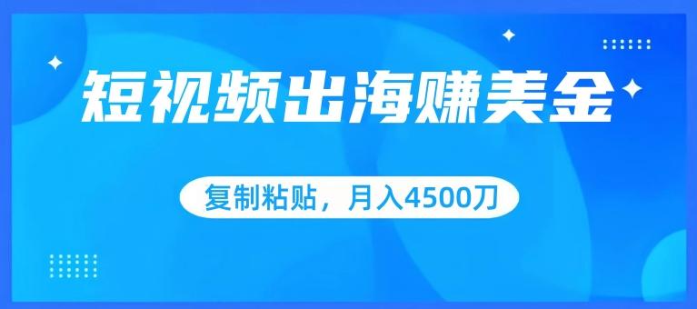 短视频出海赚美金，复制粘贴批量操作，小白轻松掌握，月入4500美刀【揭秘】-点子口袋网