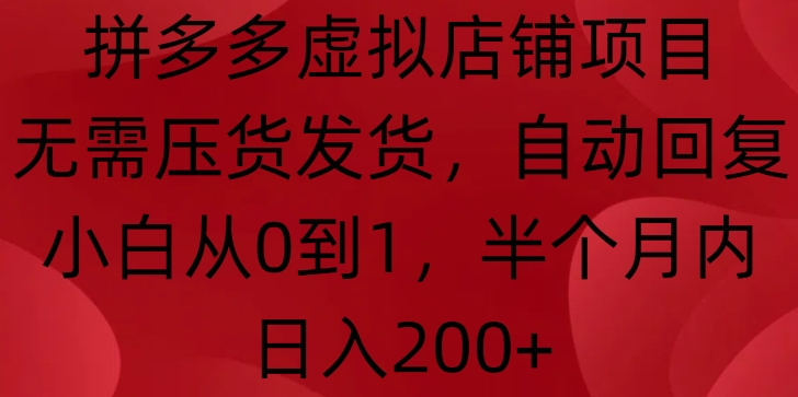 拼多多虚拟店铺项目，无需压货发货，自动回复，小白从0到1，半个月内日入200+【揭秘】-点子口袋网