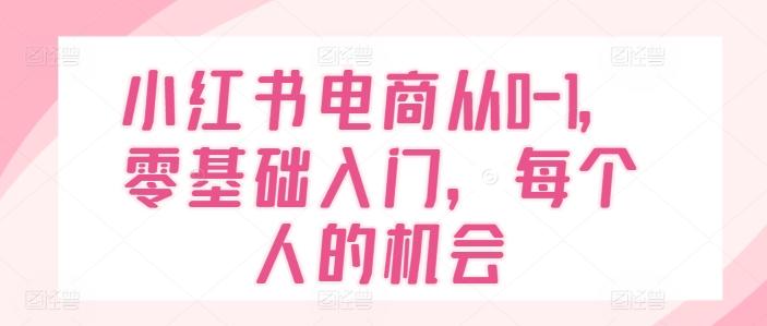 小红书电商从0-1，零基础入门，每个人的机会-点子口袋网