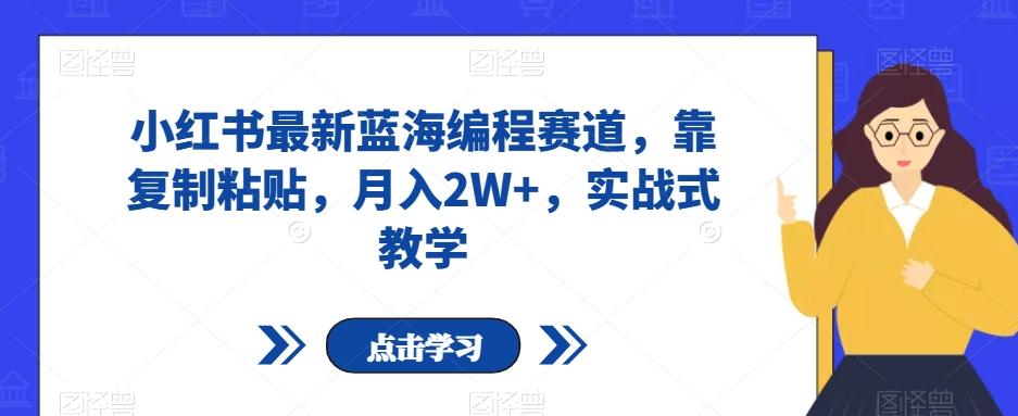 小红书最新蓝海编程赛道，靠复制粘贴，月入2W+，实战式教学【揭秘】-点子口袋网