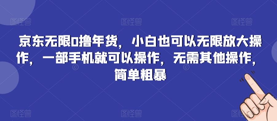 京东无限0撸年货，小白也可以无限放大操作，一部手机就可以操作，无需其他操作，简单粗暴-点子口袋网