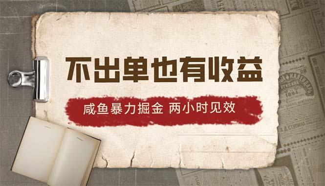 2024咸鱼暴力掘金，不出单也有收益，两小时见效，当天突破500+-点子口袋网