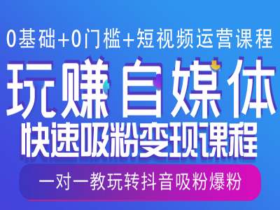 0基础+0门槛+短视频运营课程，玩赚自媒体快速吸粉变现课程，一对一教玩转抖音吸粉爆粉-点子口袋网