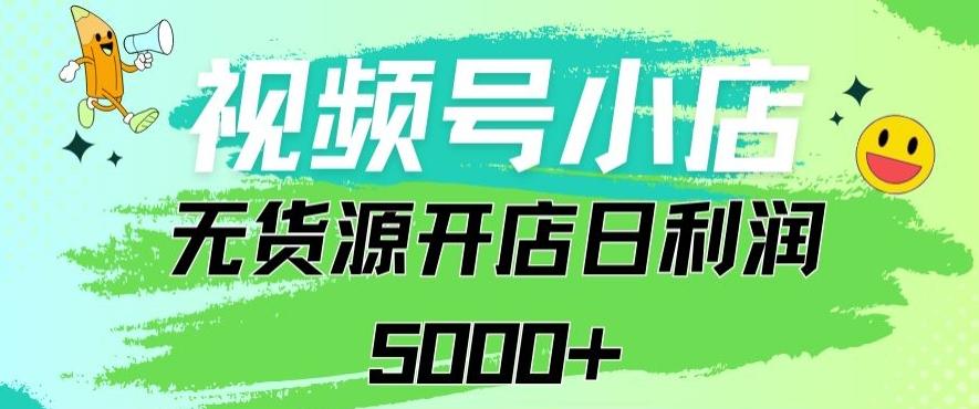视频号无货源小店从0到1日订单量千单以上纯利润稳稳5000+【揭秘】-点子口袋网