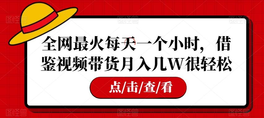 全网最火每天一个小时，借鉴视频带货月入几W很轻松【揭秘】-点子口袋网