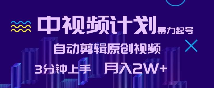 中视频计划暴力起号，自动剪辑原创视频，3分钟上手，月入2W+【揭秘】-点子口袋网