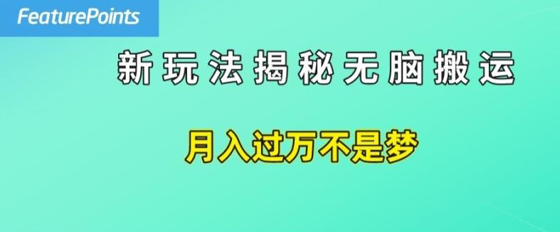 简单操作，每天50美元收入，搬运就是赚钱的秘诀【揭秘】-点子口袋网