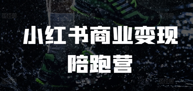 小红书商业变现陪跑营，小红书电商教程-点子口袋网
