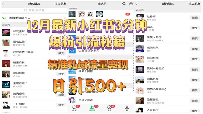 12月最新小红书3分钟爆粉引流秘籍 精准私域流量变现 日引500+-点子口袋网