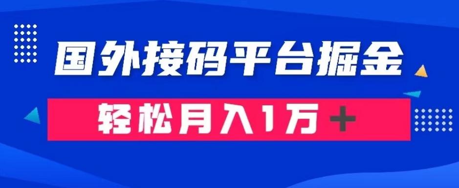 通过国外接码平台掘金：成本1.3，利润10＋，轻松月入1万＋【揭秘】-点子口袋网
