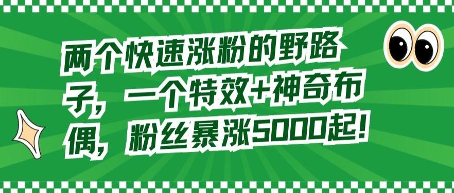 两个快速涨粉的野路子，一个特效+神奇布偶，粉丝暴涨5000起【揭秘】-点子口袋网