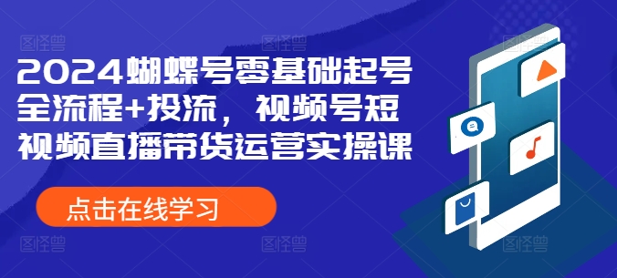 2024蝴蝶号零基础起号全流程+投流，视频号短视频直播带货运营实操课-点子口袋网