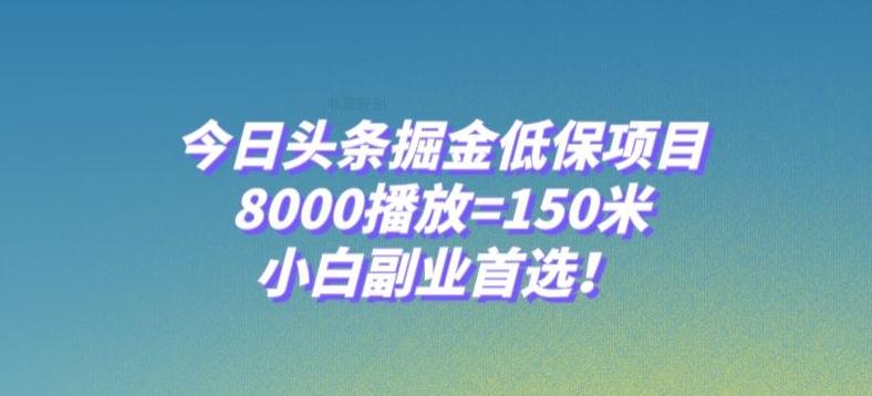 今日头条掘金低保项目，8000播放=150米，小白副业首选【揭秘】-点子口袋网