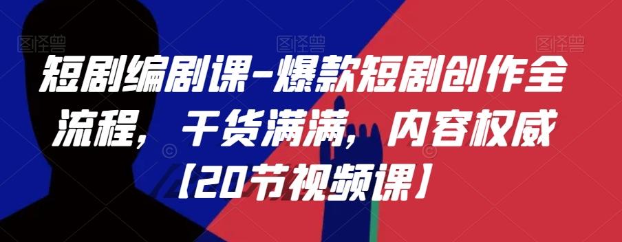 短剧编剧课-爆款短剧创作全流程，干货满满，内容权威【20节视频课】-点子口袋网