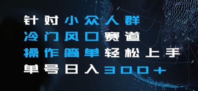 针对小众人群冷门风口赛道，操作简单轻松上手单号日入300+-点子口袋网