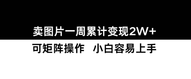 小红书【卖图片】一周累计变现2W+小白易上手-点子口袋网
