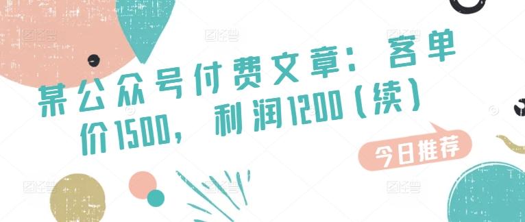 某公众号付费文章：客单价1500，利润1200(续)，市场几乎可以说是空白的-点子口袋网