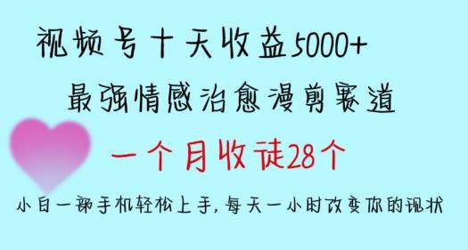 十天收益5000+，多平台捞金，视频号情感治愈漫剪，一个月收徒28个，小白一部手机轻松上手【揭秘】-点子口袋网