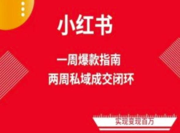 爆款小红书免费流量体系课程(两周变现)，小红书电商教程-点子口袋网