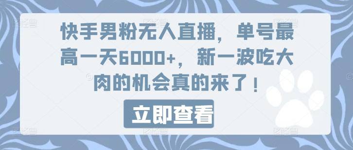 快手男粉无人直播，单号最高一天6000+，新一波吃大肉的机会真的来了-点子口袋网