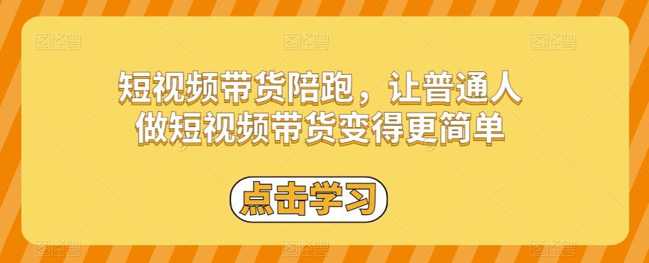 短视频带货陪跑，让普通人做短视频带货变得更简单-点子口袋网