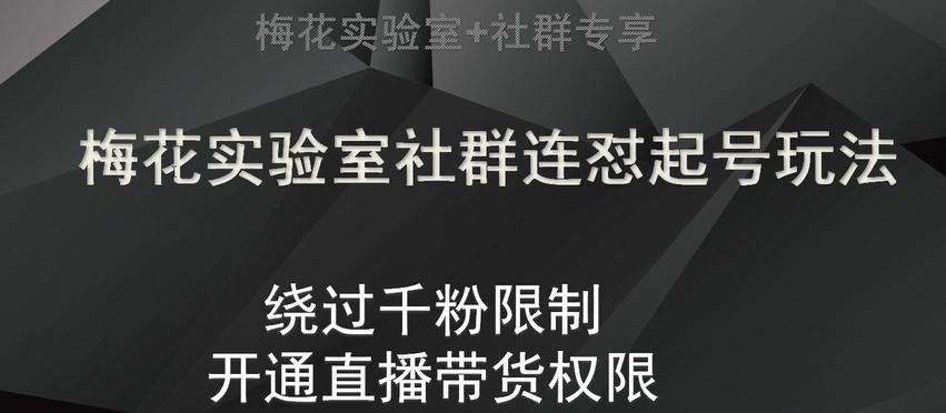 梅花实验室社群连怼起号玩法，视频号绕过千粉限制，开通直播带货权限【揭秘】-点子口袋网