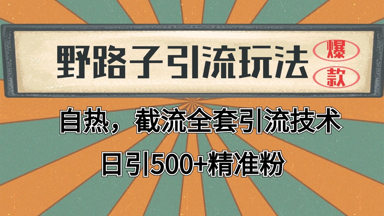 抖音小红书视频号全平台引流打法，全自动引流日引2000+精准客户-点子口袋网