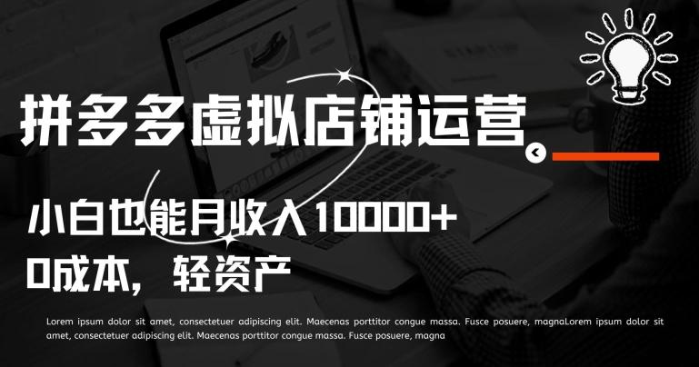 拼多多虚拟店铺运营小白也能月收入10000+【揭秘】-点子口袋网