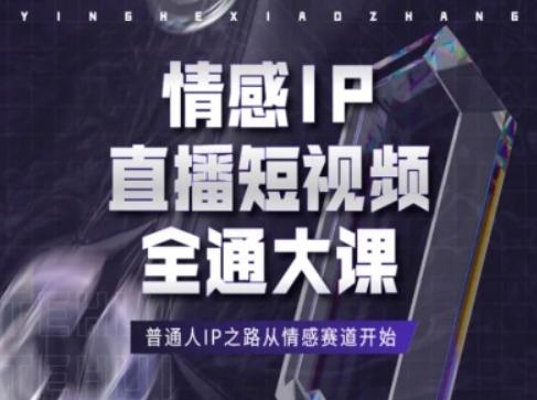 情感IP直播短视频全通大课，普通人IP之路从情感赛道开始-点子口袋网