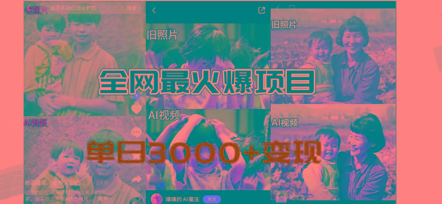 全网爆火的AI让老照片动起来教程，蹭热点日赚3000+，内含免费工具一键...-点子口袋网