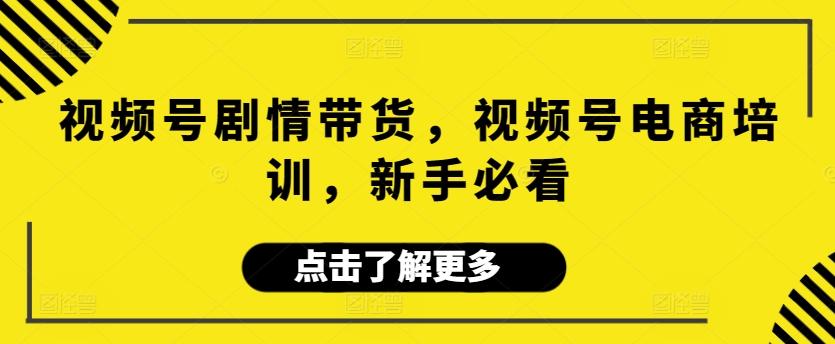 视频号剧情带货，视频号电商培训，新手必看-点子口袋网